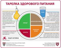 Тарелка здорового питания